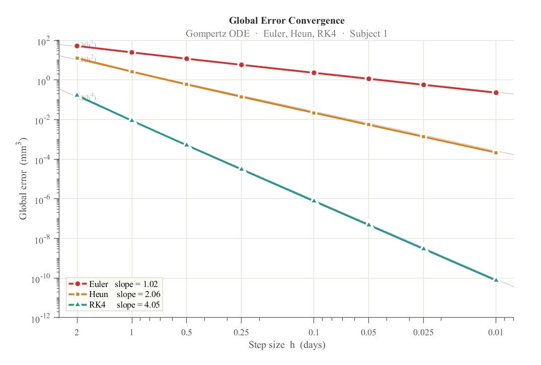 Global Error Convergence log-log