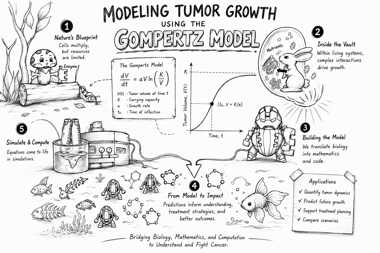Hand-drawn illustrated summary of the project in five numbered stages: cells multiplying under limited resources, complex interactions inside living systems, translating biology into the Gompertz differential equation and its sigmoid growth curve, turning predictions into treatment impact, and running simulations. A side panel lists applications: quantify tumour dynamics, predict future growth, support treatment planning, and compare scenarios.